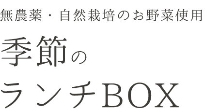 季節のランチBOX