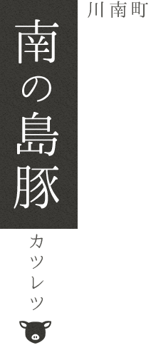 川南町 南の島豚カツレツ